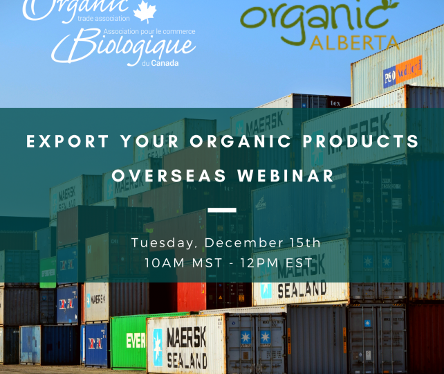 export webinar
