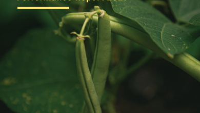 state of organic